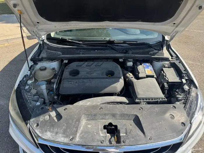 2020 جيلي بينراي 7