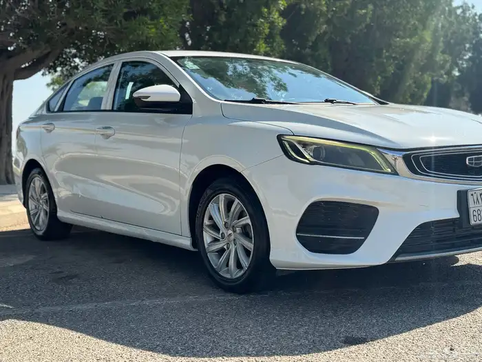 2020 جيلي بينراي 1