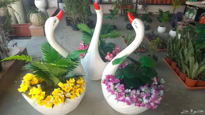 مؤسسة زهرة الخليج الزراعية -نجران -دحضة 5