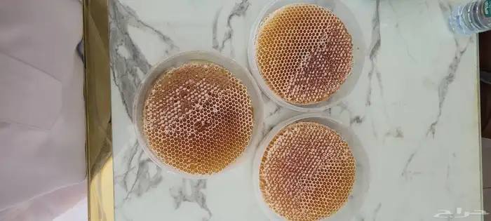 أقراص شمع العسل السدر 1