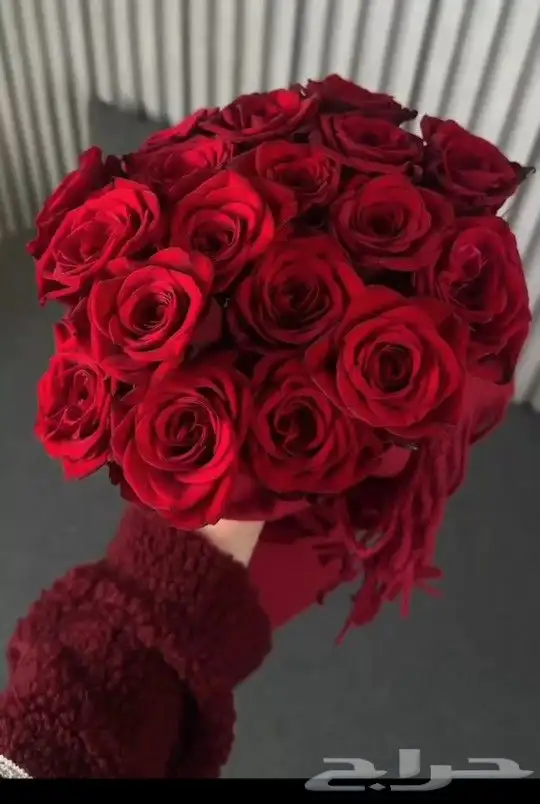 سكارف ميكاسا مع باقة ورد طبيعي 1