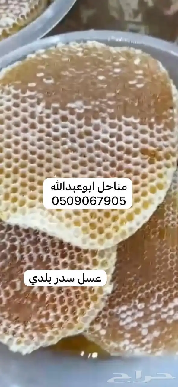 عسل سدر بلدي 1