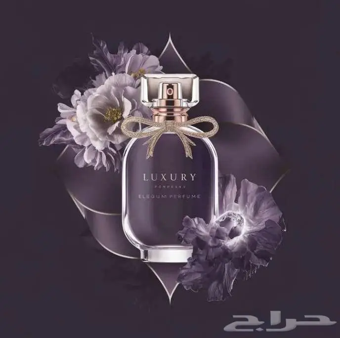 تصميم جرافيك شعارات وهويات وإعلانات معرضي أنستقرام (juiddz) 1