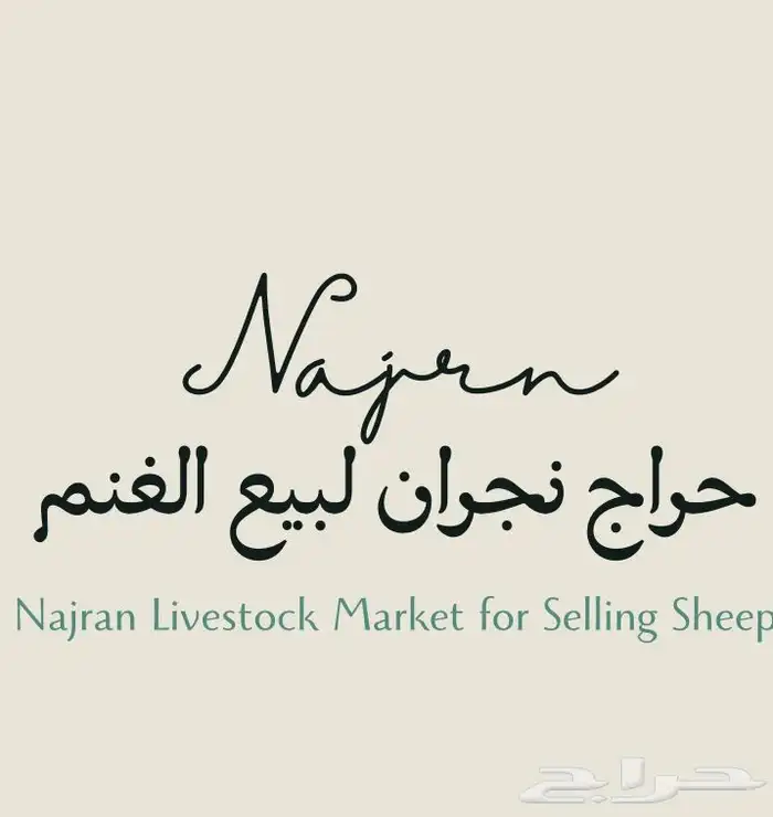 يوجد قروب غنم باشتراك شهري الي يبغ ادخله  يراسلني 0