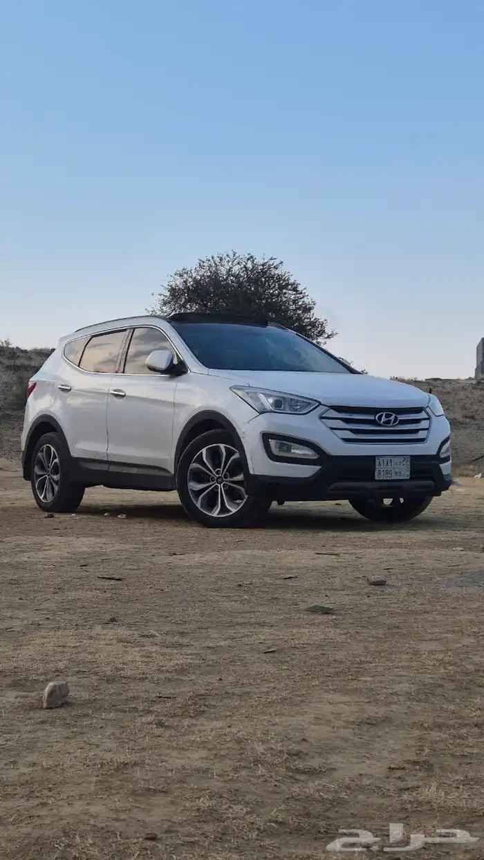 سنتافي 2015 نص فل بودي وكالة مستخدم ثاني 0