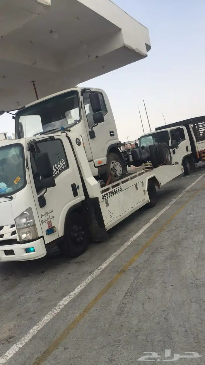 سطحه الليث 0