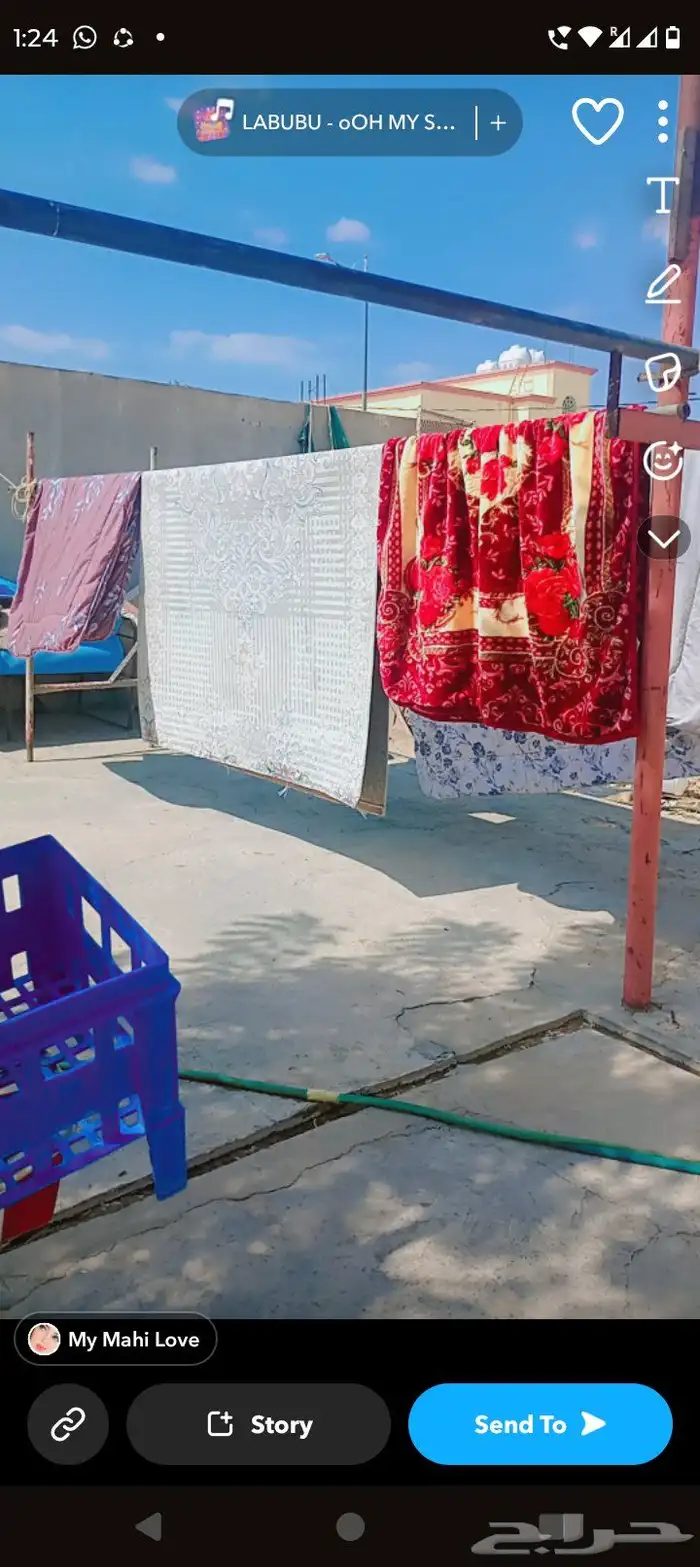 سجادة مراكي باتانيا مفارش سيتارا سيفون فاروا عباية مجلس غاس 1