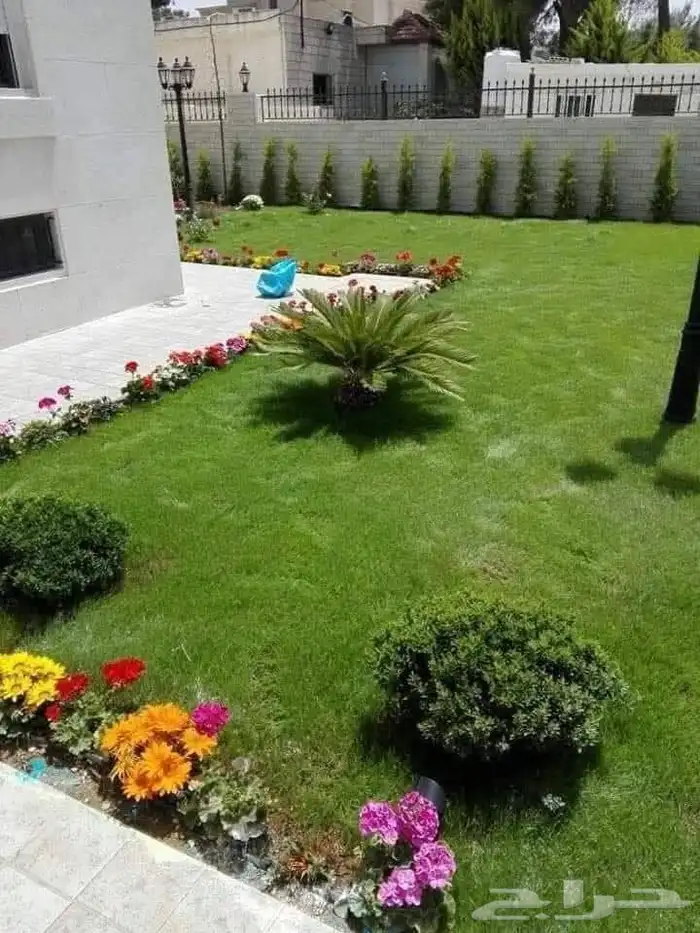 زراع طبيعي وتيل طبيعي و مشتل زراع طبيعي 1