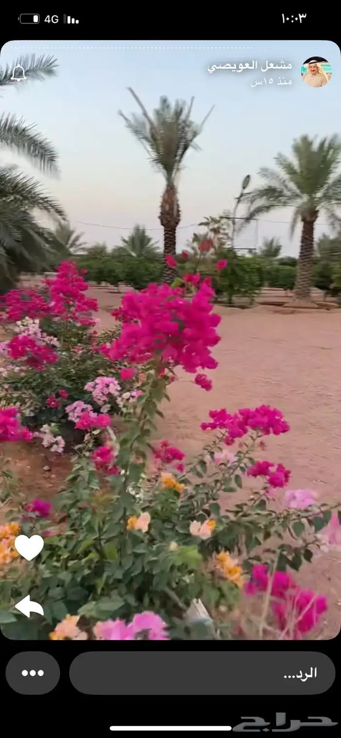 مزارع ومنسق حدائق 0