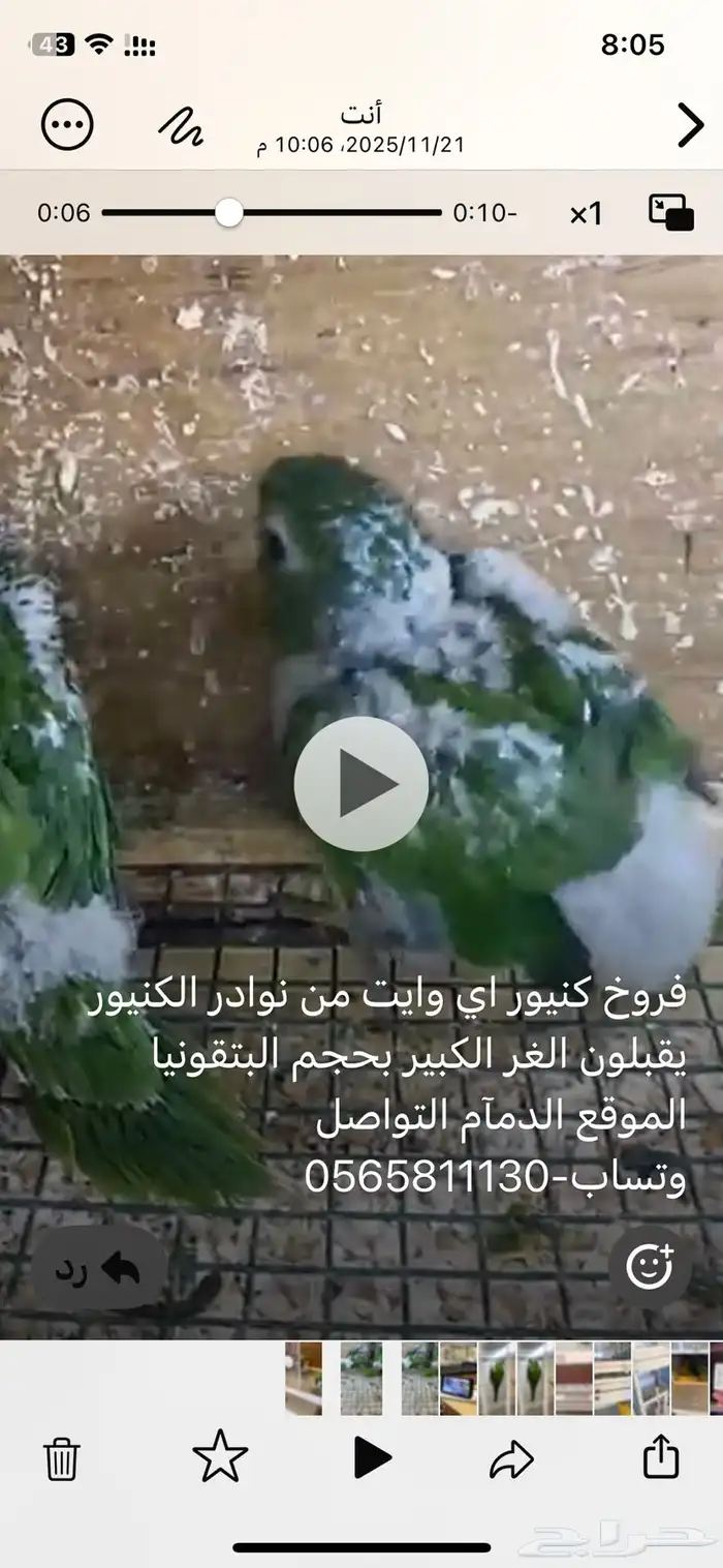 فروخ كنيور نوادر وايت اي 0