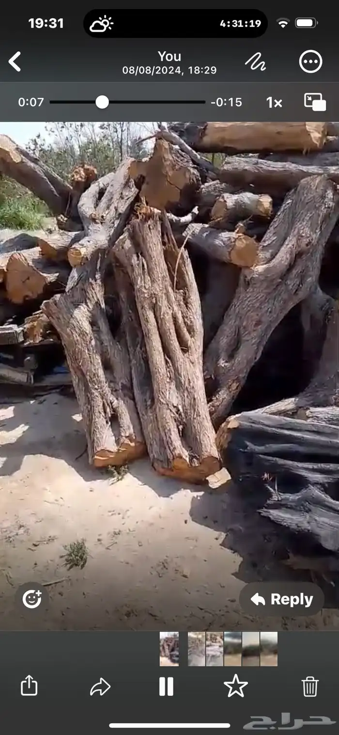 سعف وحطب للبيع 1