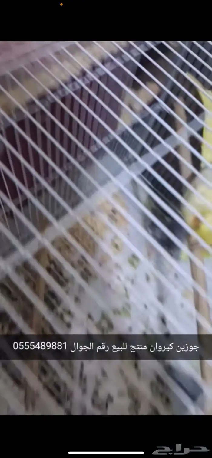 جوزين كيروان منته 2