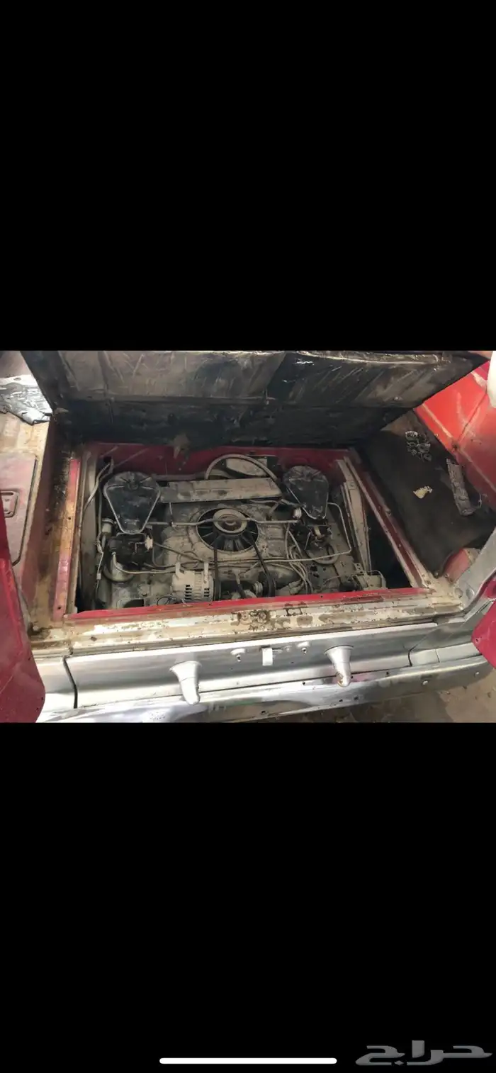 للبيع شفر فان موديل 1961 18