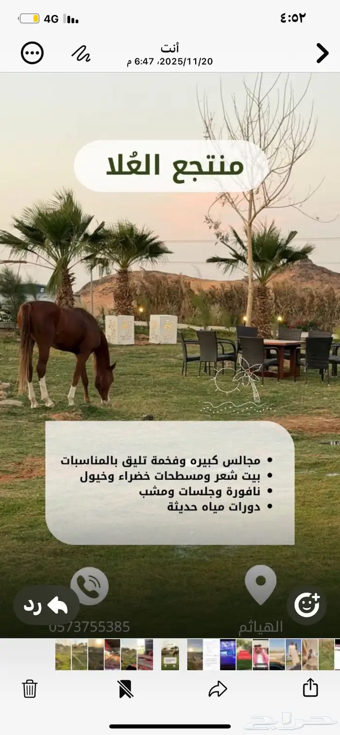 مخيم للإيجار. اليومي 4