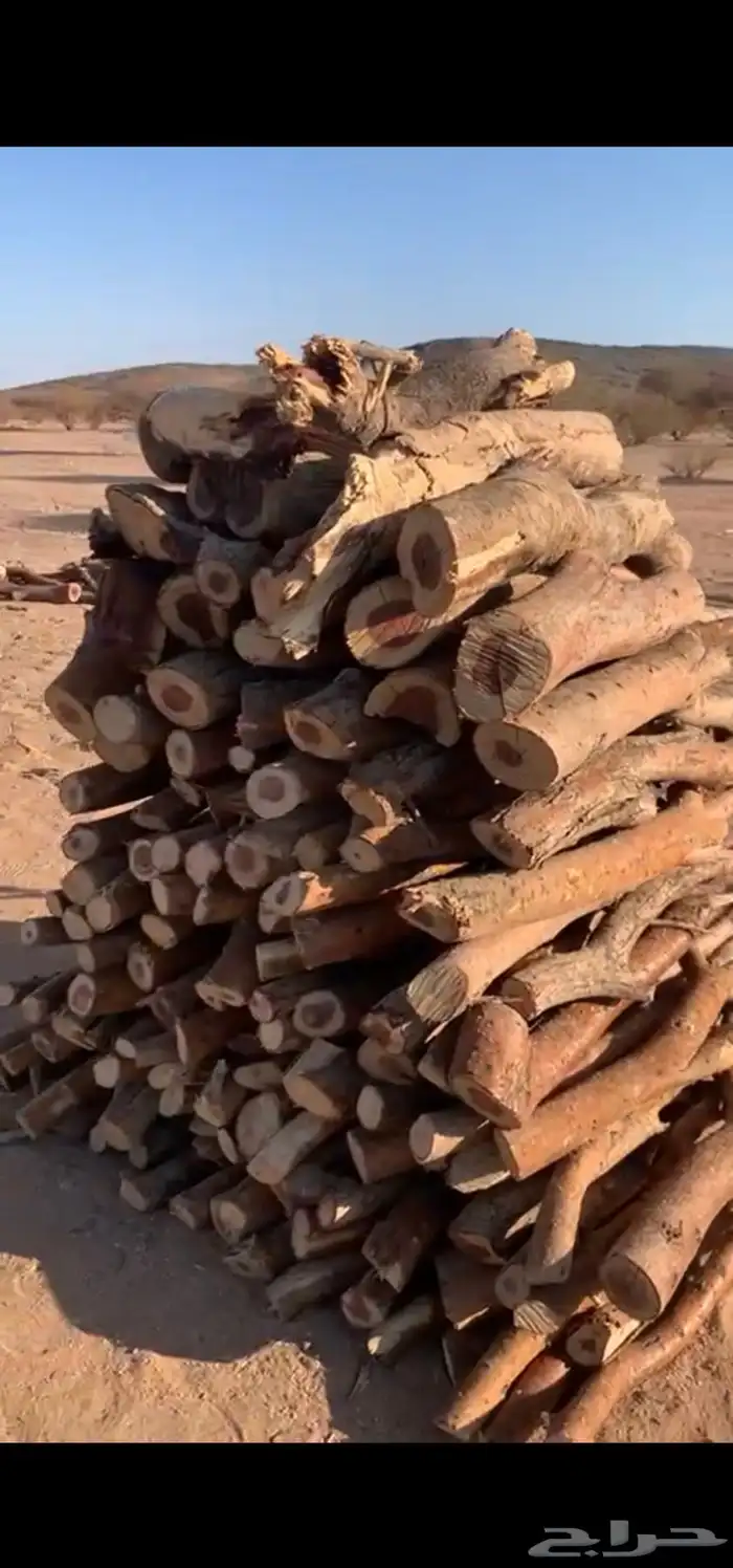 حطب سمر مشروط يوصل لرياض - المزاحميه - وغيرها 0