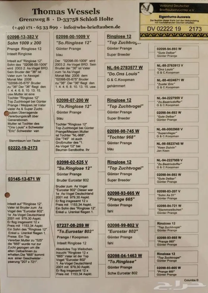 فردة بيور برانغا 2