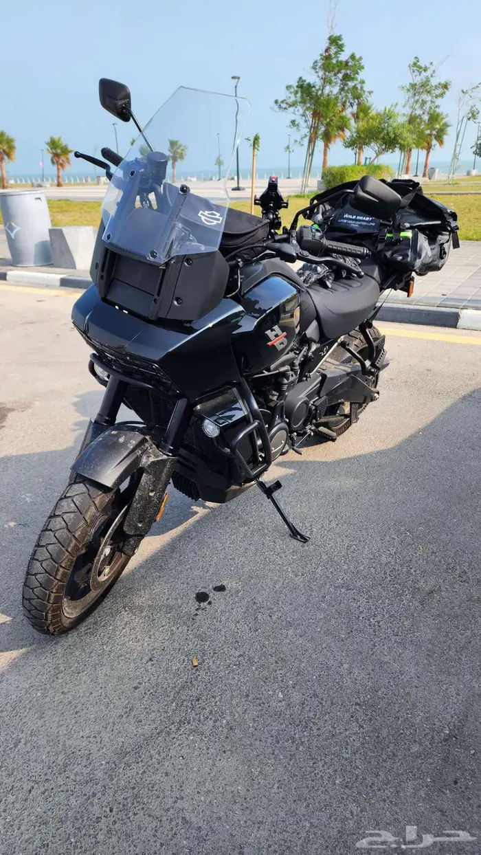 Harley Pan America 2021 0