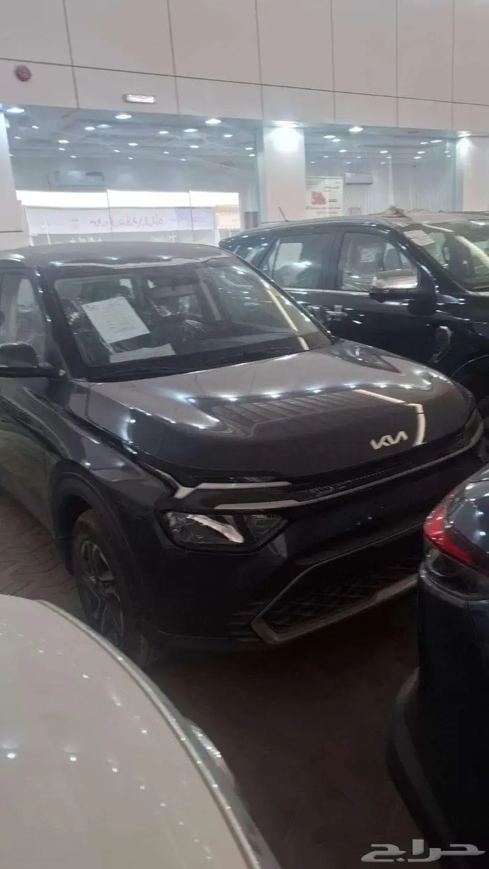 كيا كارنز ستاندر موديل 2025 1