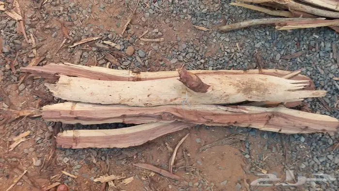 محافظة الغزاله 0