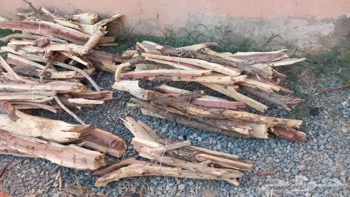 محافظة الغزاله 2