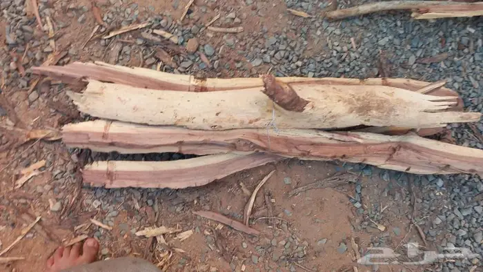 محافظة الغزاله 1