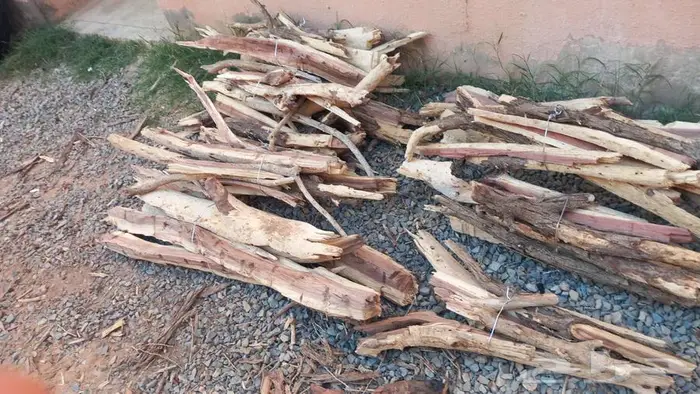 محافظة الغزاله 3