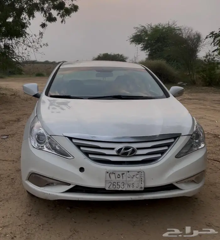 لوحة للبيع 0