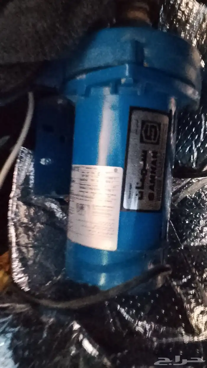 دينمو. سمنان. أمريكي حصان 0