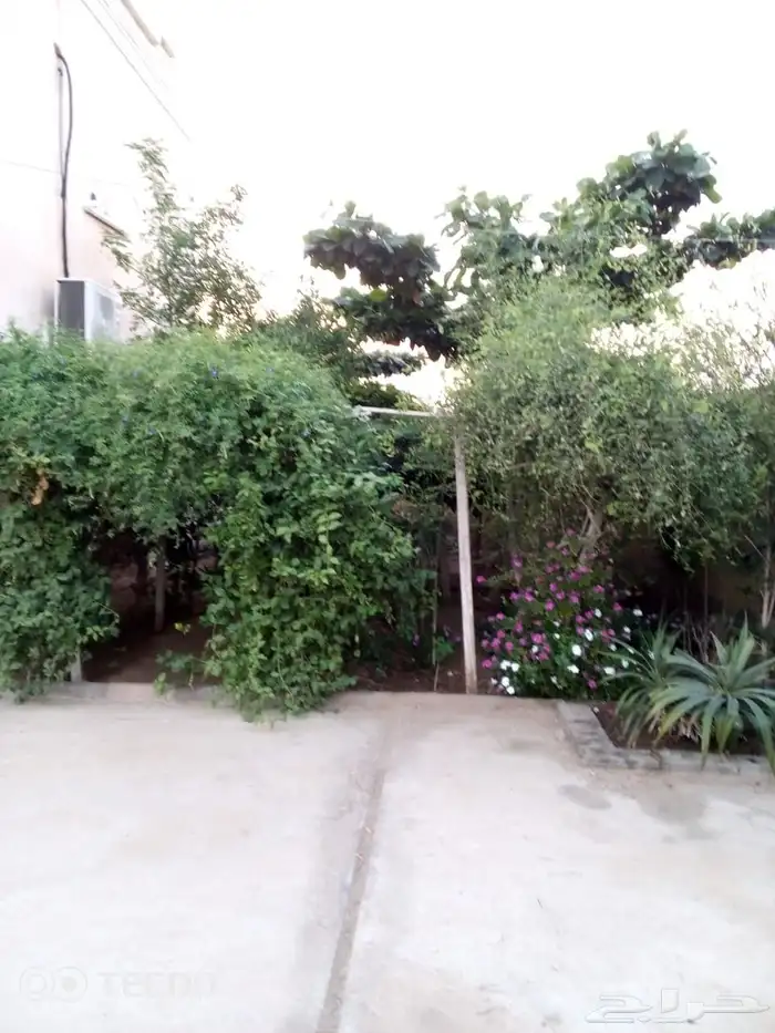 استراحه للايجار وبسعر ممتاز فيها جميع ترفيهيه للاسره 9