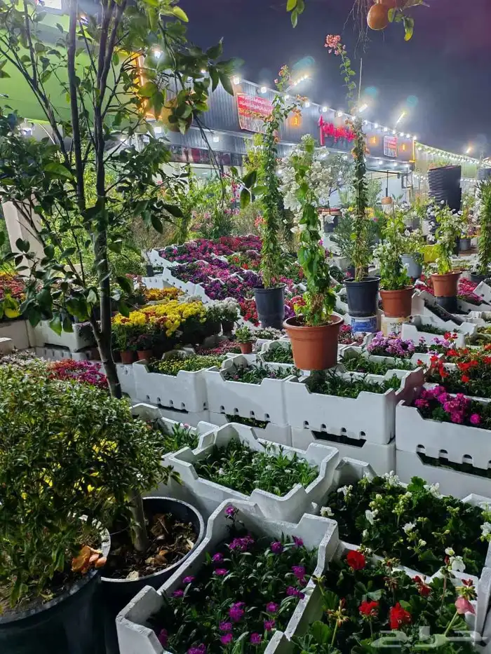 محل زراع طبيعي وتيل طبيعي وشبكات الري ومشتل زراعية طبيعي 8