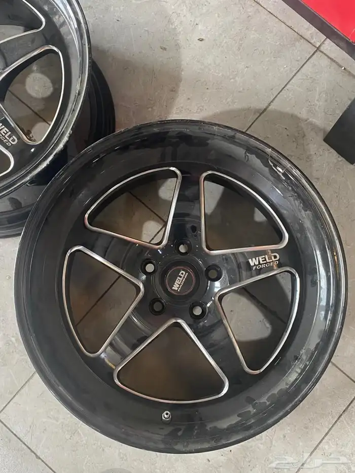 جنوط ويلد دوج مقاس 9.5 0