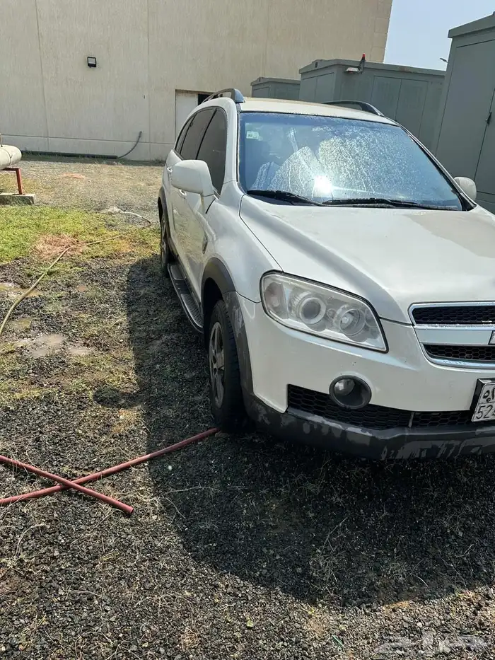 كابتيفيا 2008 5