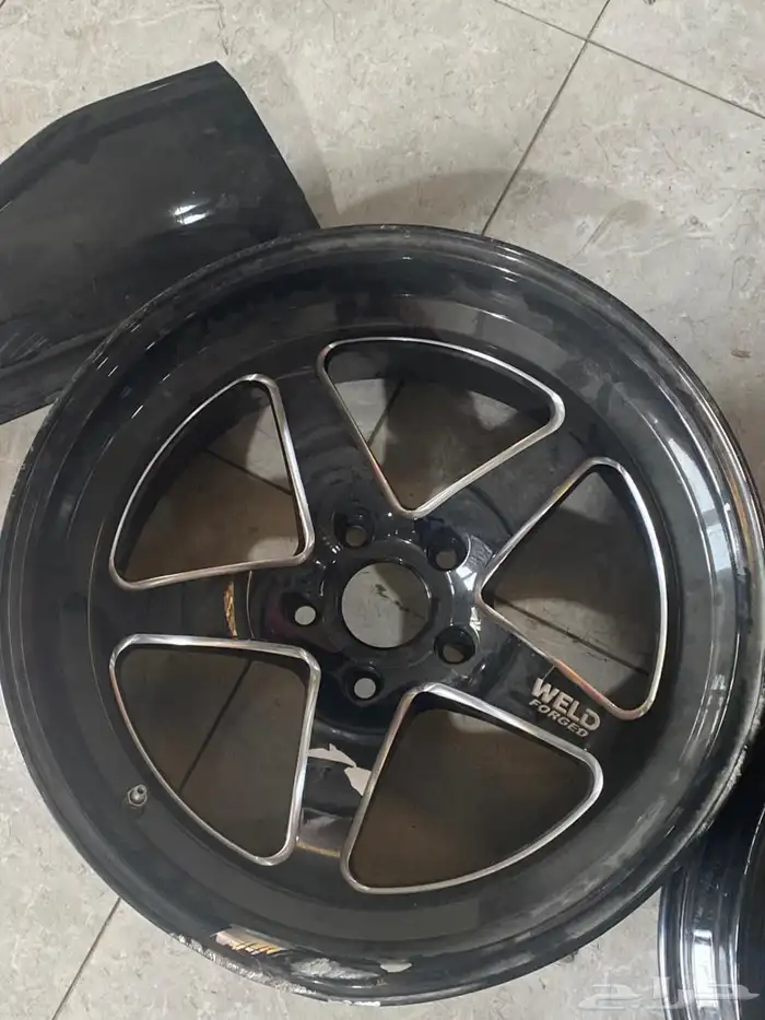 جنوط ويلد دوج مقاس 9.5 1