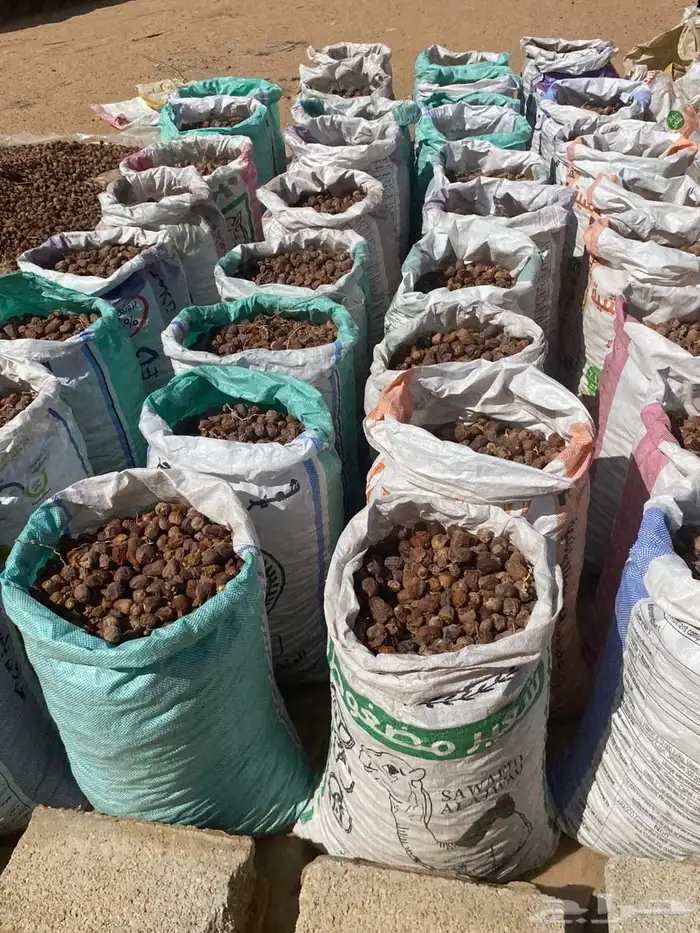 تمر علف العدد 60 كيس تقريبا 0