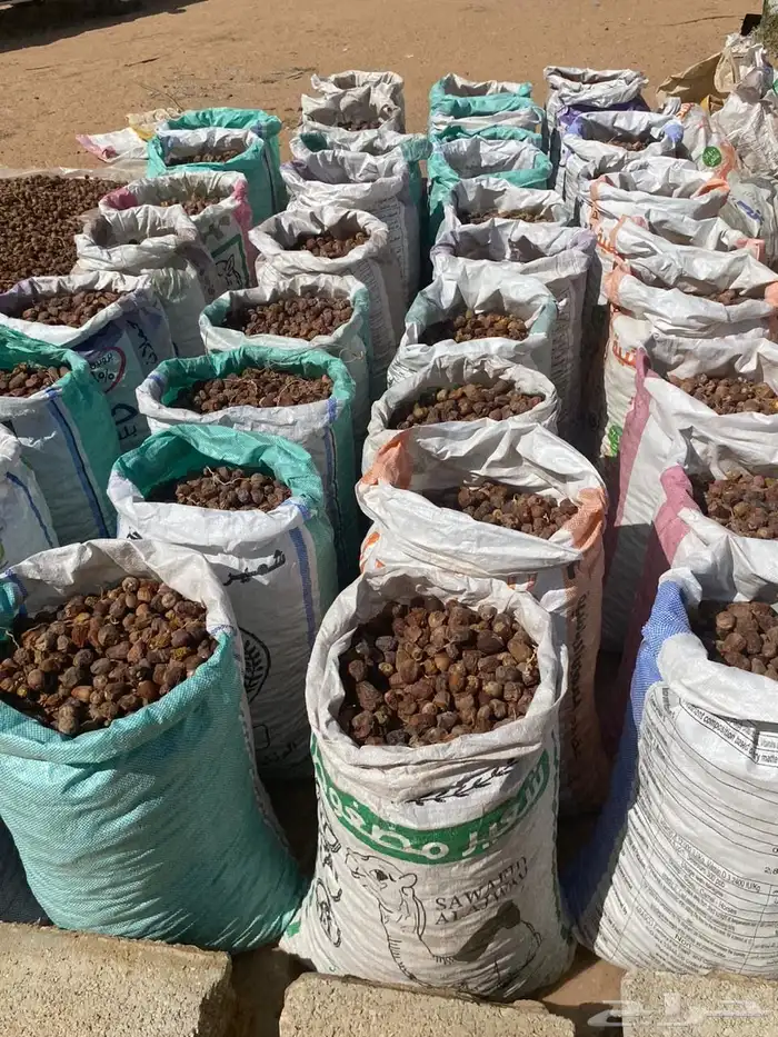 تمر علف العدد 60 كيس تقريبا 1