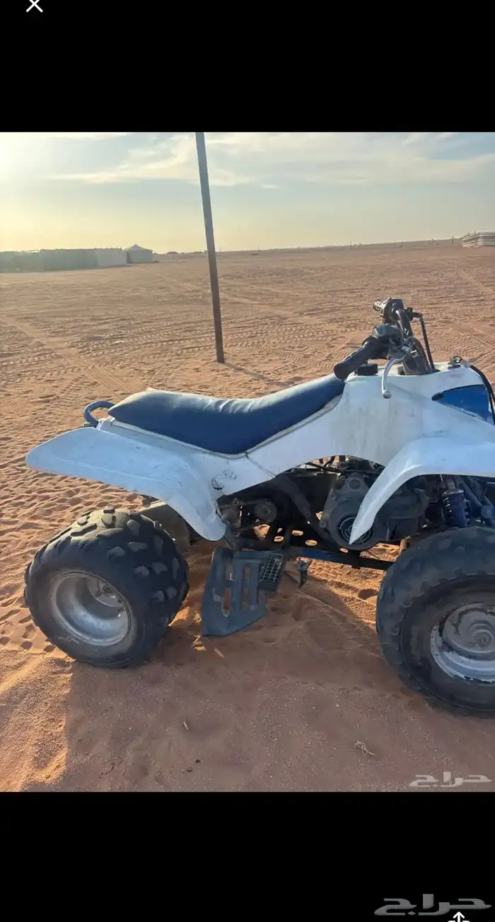 الدباب للبيع رماح 0