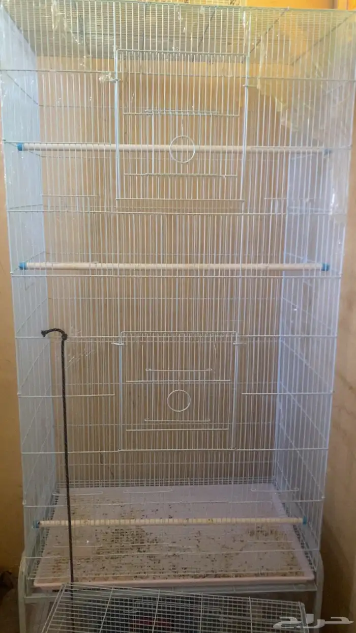 شبك أخو الجديد 1