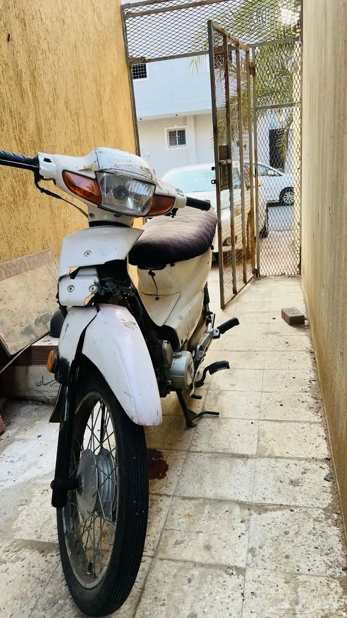 دباب هوندا 110 مبيعات البلدية 1