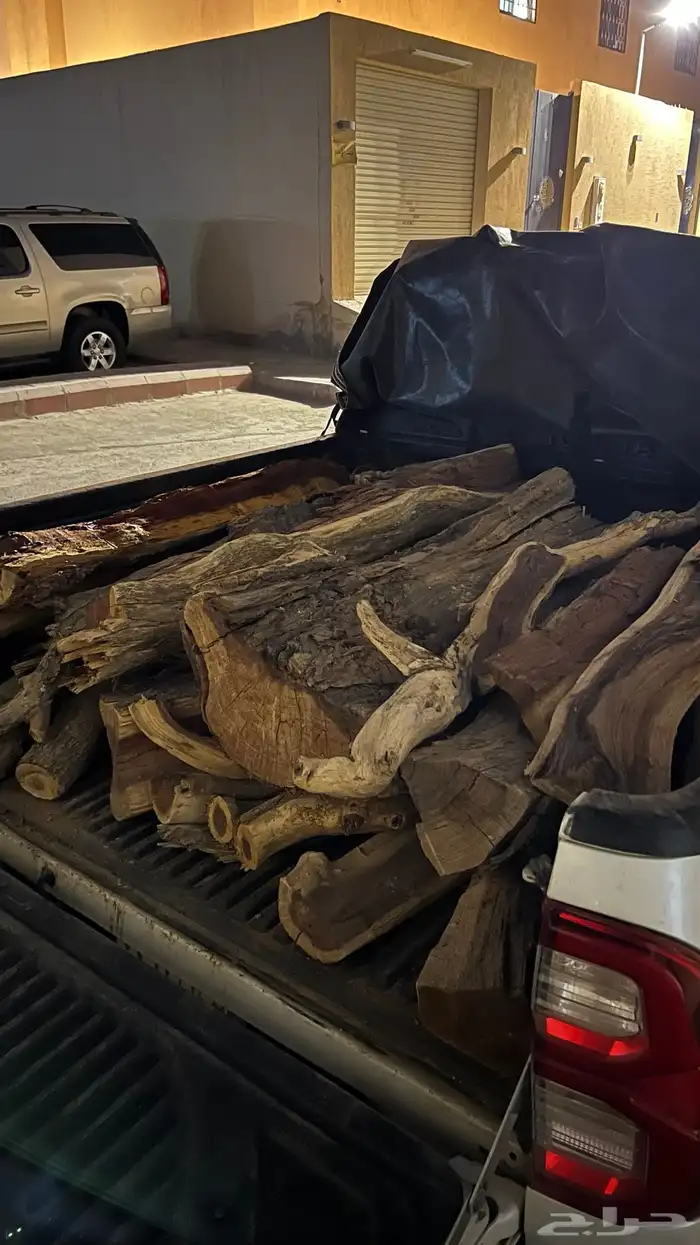 حطب مستورد 0