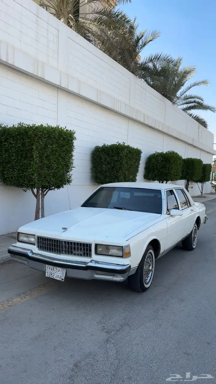 كابرس 89 نظيف للبيع 2