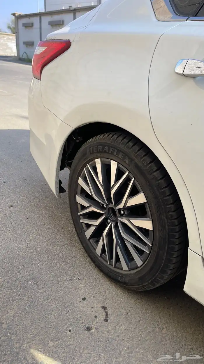 جنوط التيما 2023 0