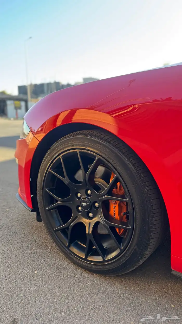 موستنق 2019 10