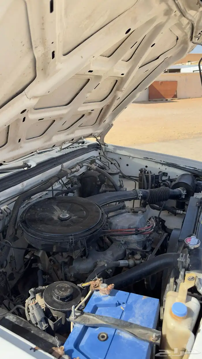 ددسن 98 نظيف بدل فقط . 12