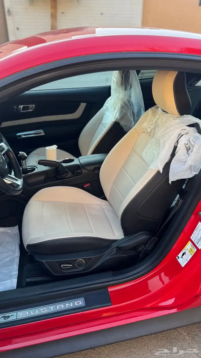 موستنق 2019 15