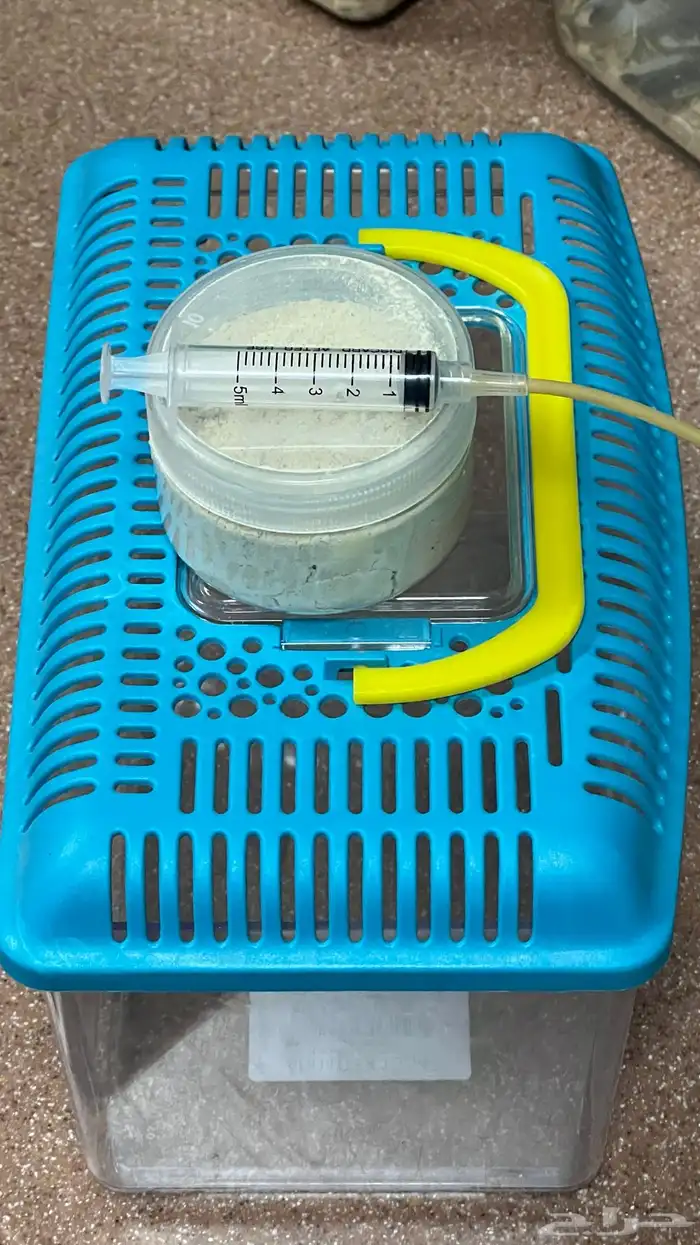 فروخ كروان 7