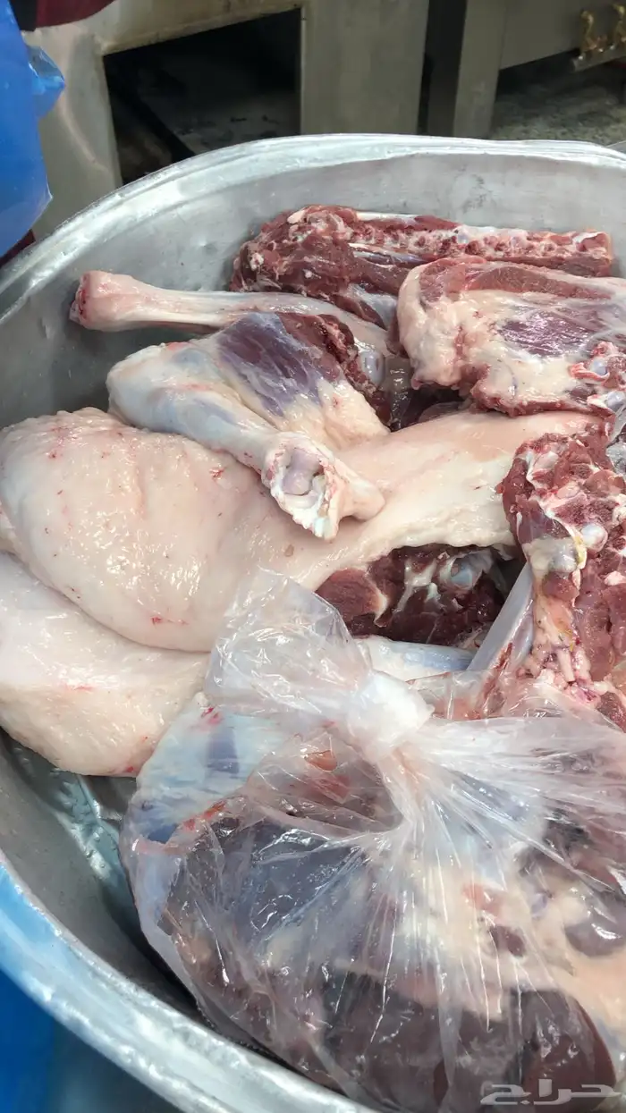 ذبايح الشرقيه 1