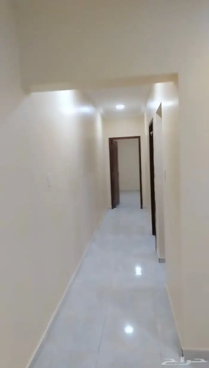 شقة عزاب غرفه وصاله في حي الندي 1400 1