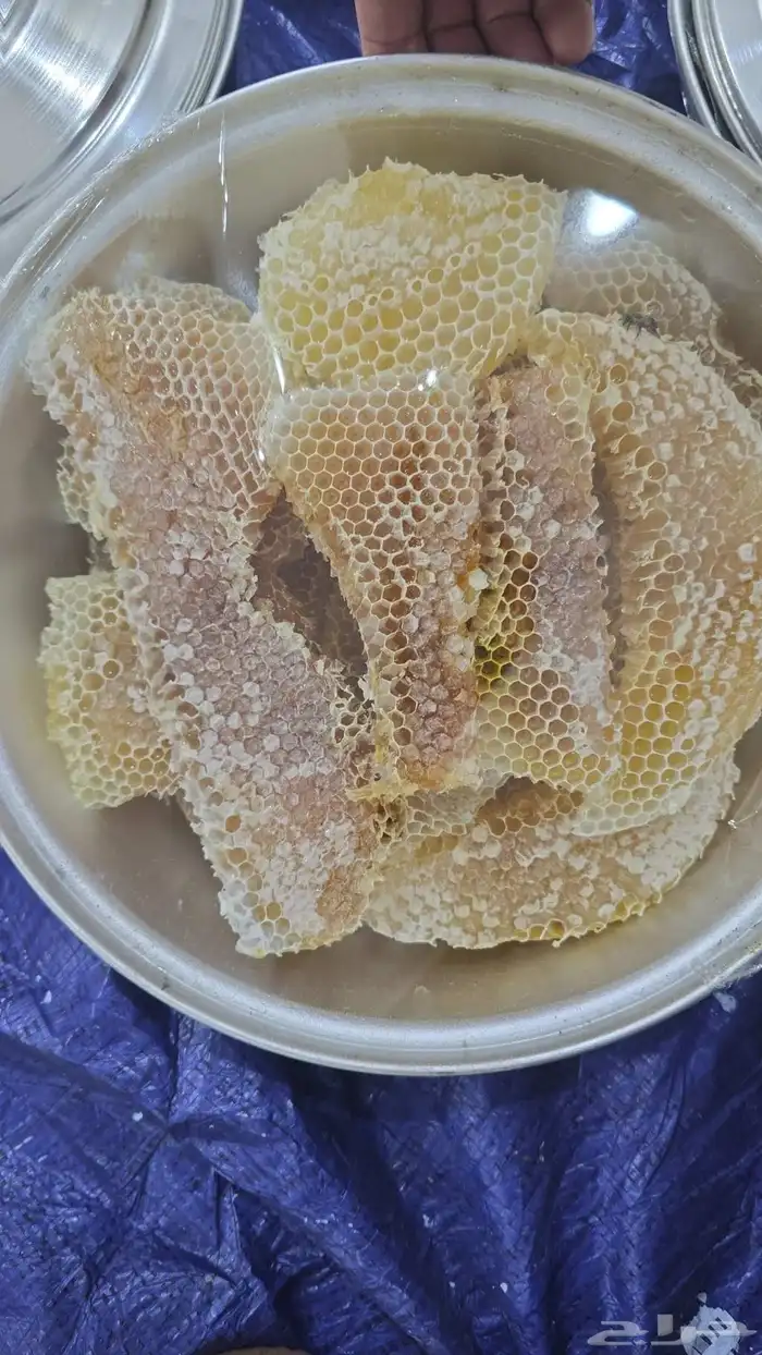 عسل سدر مضمون وعلى الشرط 0