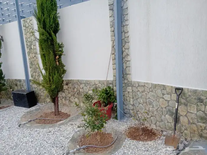 تلبيس واجهات الباحه 11