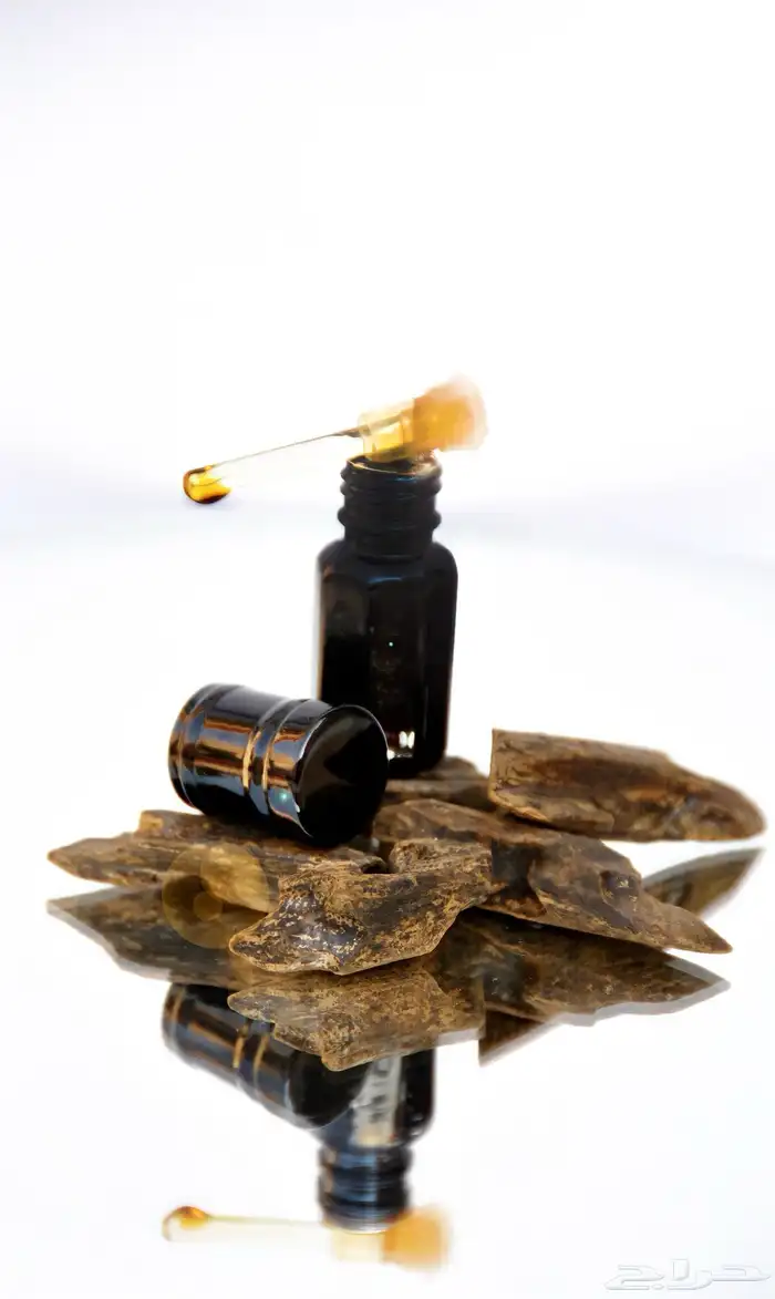 مصممة لوقو ومصورة منتجات بأقل الأسعار 2